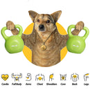 10lbs Kettlebell Set, Home gym equipment