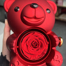 Rose Teddy Bear Jewelry Box With Necklace Gift